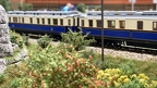 IMG 3553